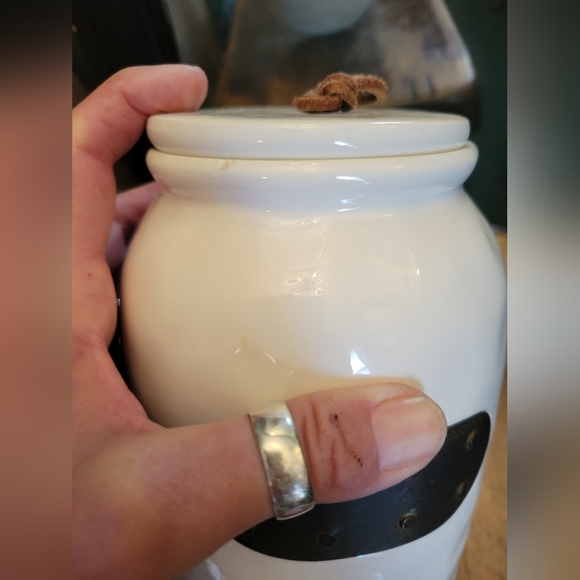 NWT 2016 mud pie large bistro canister with lid cute details - Picture 4 of 13